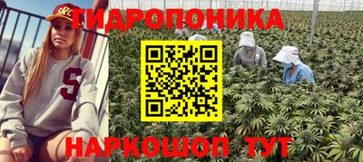 круглые Пушкино